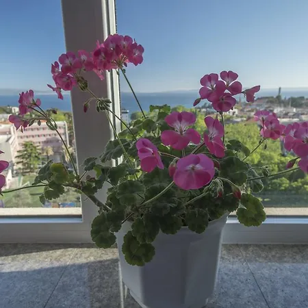 Apartament Vana *